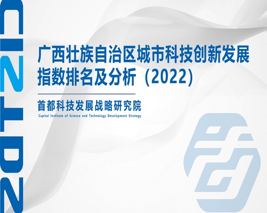 艹视频嗯～【成果发布】广西壮族自治区城市科技创新发展指数排名及分析（2022）